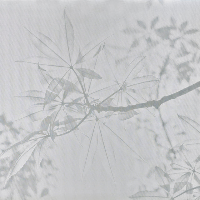 GOLDEN LEAF TREE