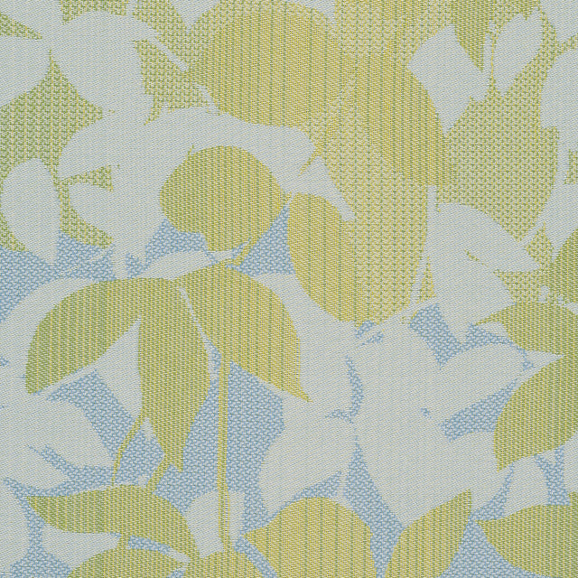 PRIVET
