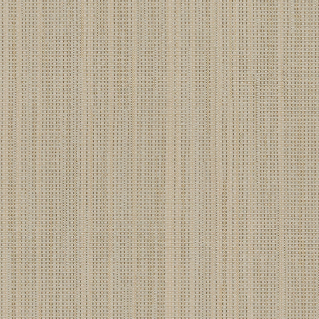 Birch