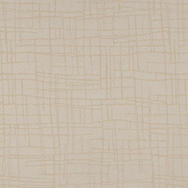 Browse Our Fabric Selection