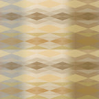 Fractal X