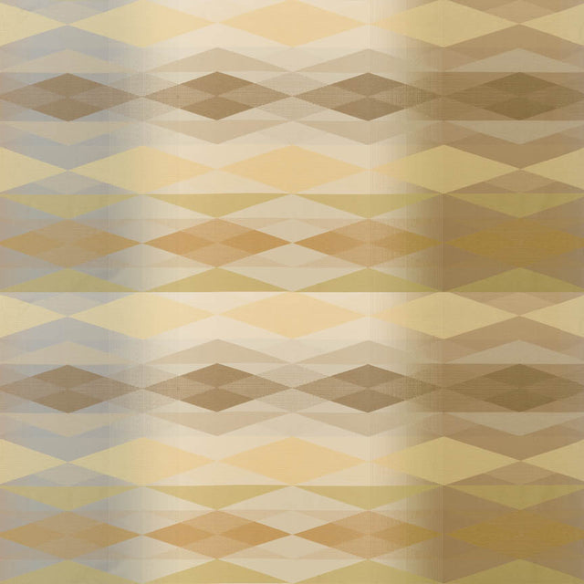 Fractal X