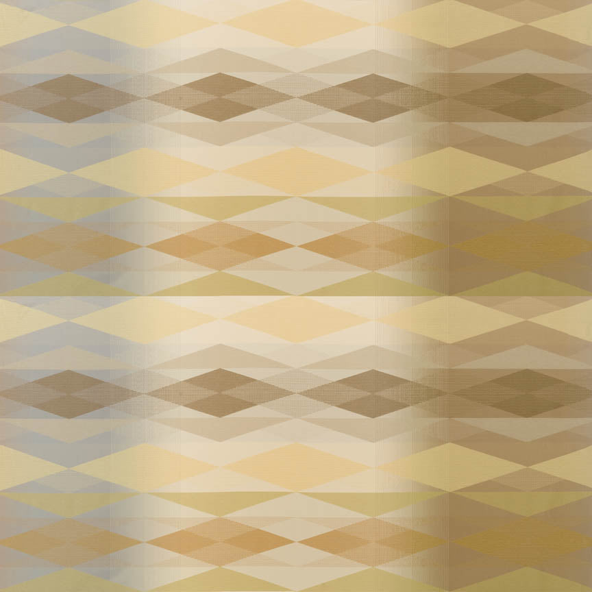 Fractal X