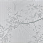 GOLDEN LEAF TREE