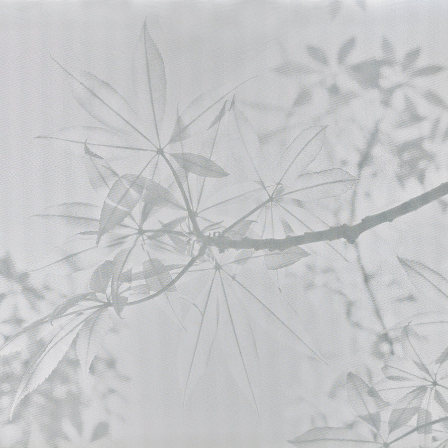 GOLDEN LEAF TREE