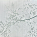 GOLDEN LEAF TREE