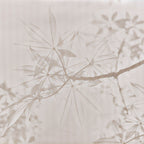 GOLDEN LEAF TREE