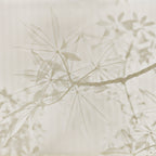 GOLDEN LEAF TREE