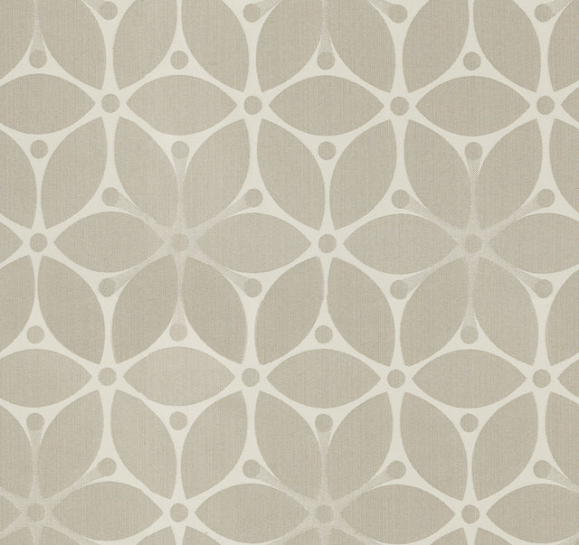 Sand Dollar