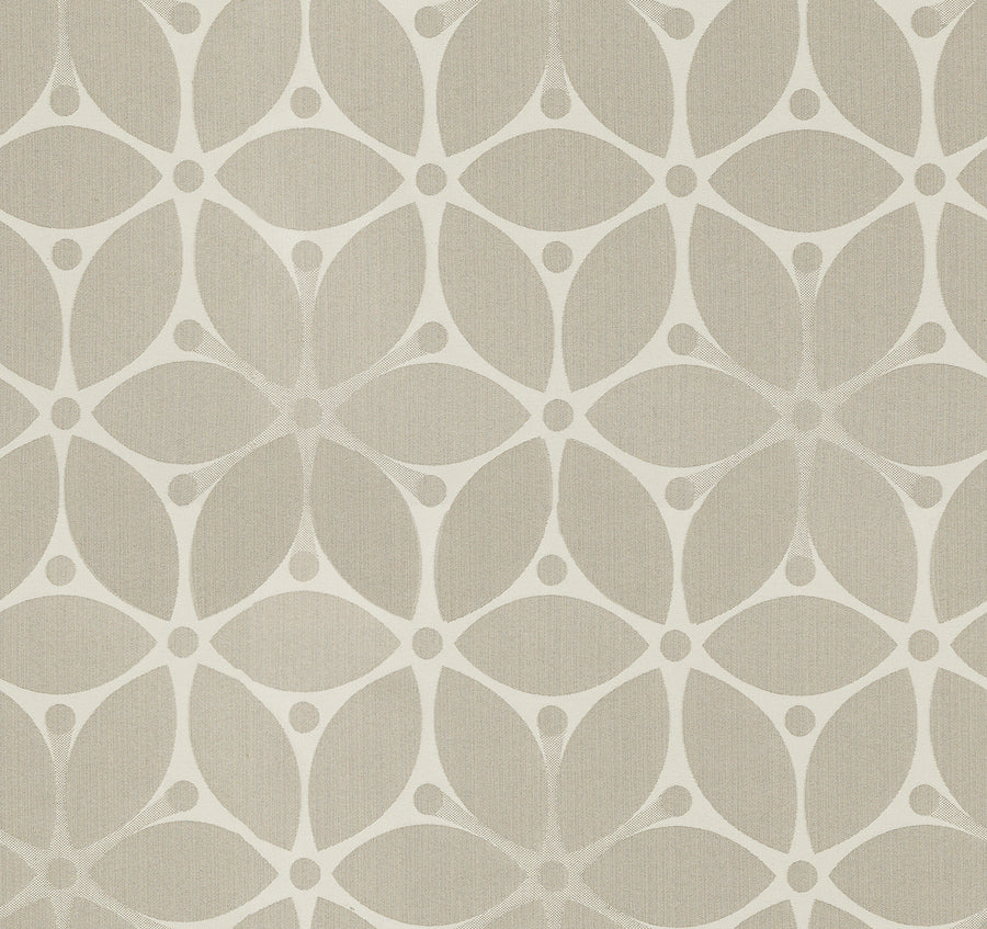 Sand Dollar
