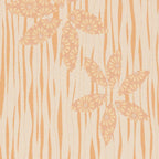 Water Lily