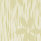 Water Lily
